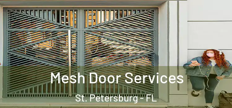 Mesh Door Services St. Petersburg - FL